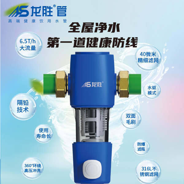 龍勝前置過濾器LS-QZ-10